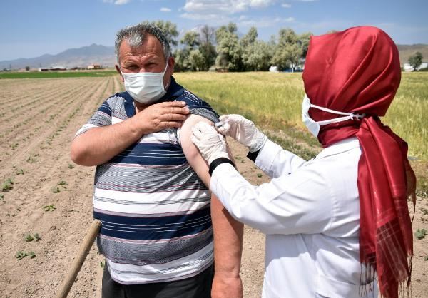 ÇİLEK TARLASINDA KORONA AŞISI